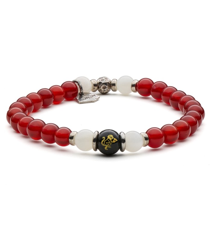 Chinese Zodiac Sign: Monkey