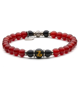 segno zodiacale cinese: Serpente