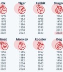Chinese Horoscope Zodiac Sign Bracelet: Year of the Rabbit